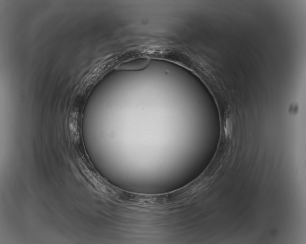 X0000116881396200912291232