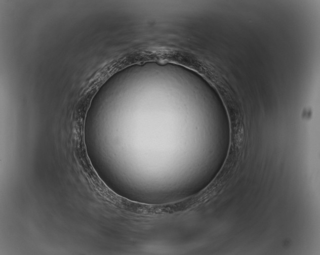 X0000116881397200912291232
