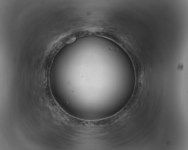 X0000116881398200912291232