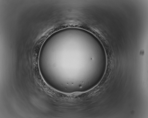 X0000116881399200912291232