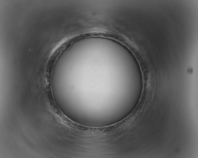 X0000116881400200912291232