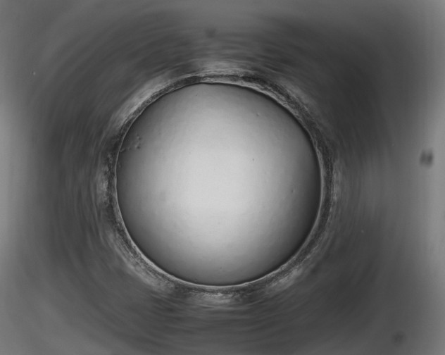 X0000116881401200912291232