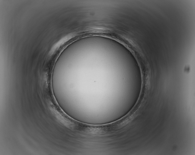 X0000116881402200912291232