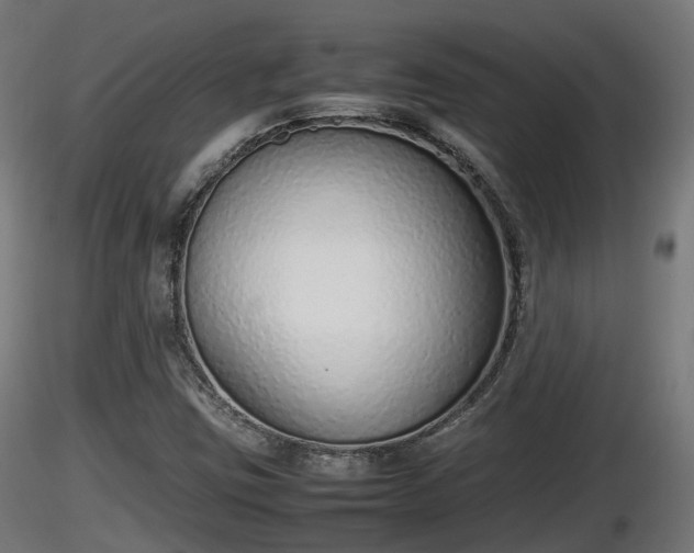 X0000116881403200912291232