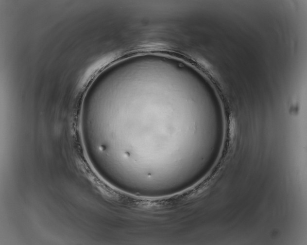 X0000116881405200912291232