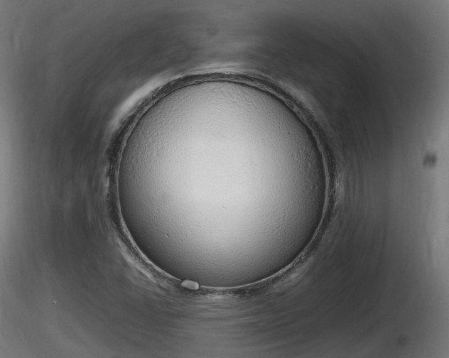 X0000116881406200912291232