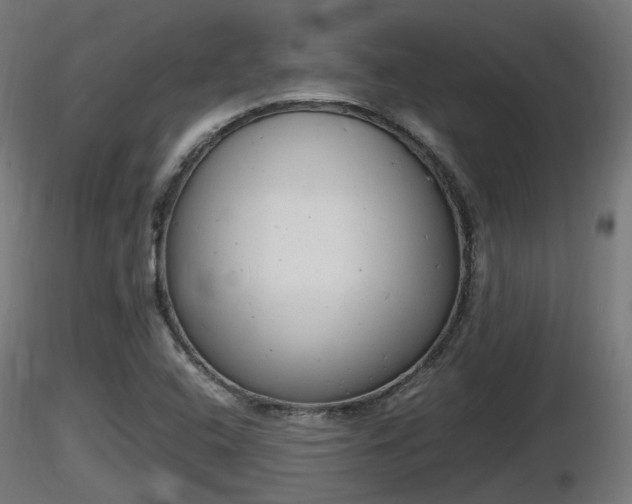 X0000116881408200912291232