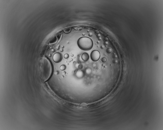 X0000116881411200912291232