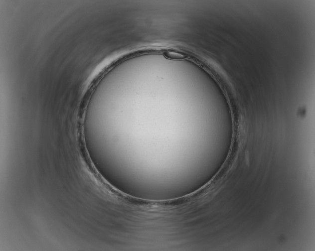 X0000116881412200912291232