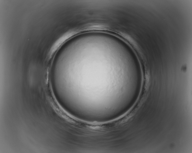 X0000116881413200912291232