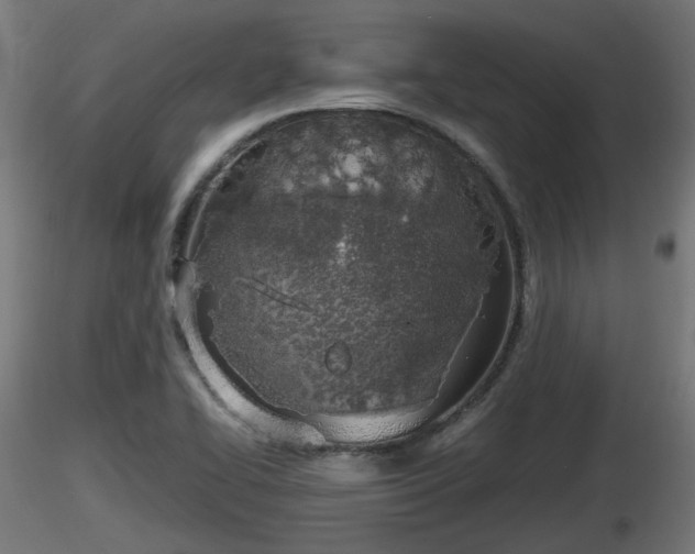 X0000116881414200912291232