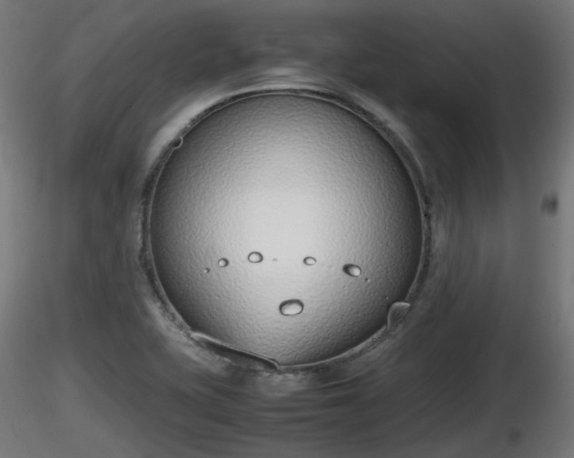 X0000116881415200912291233
