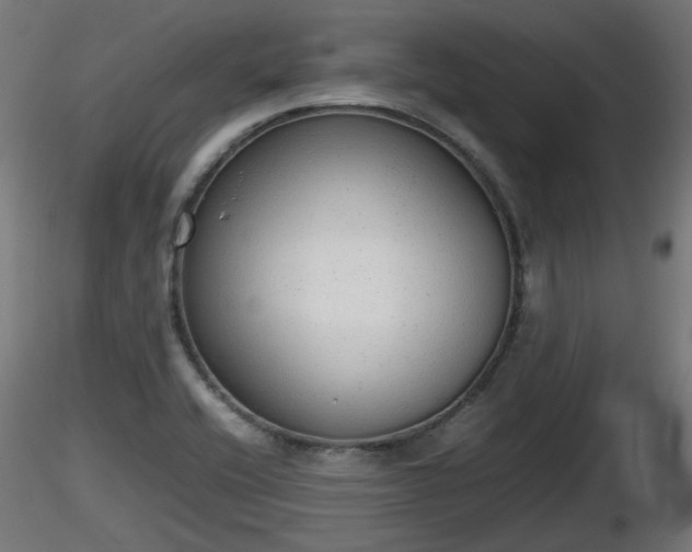 X0000116881416200912291233