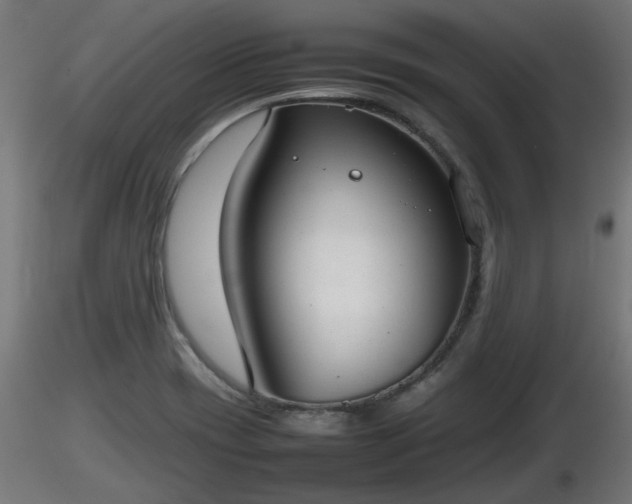 X0000116881417200912291233