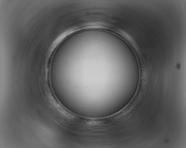 X0000116881419200912291233