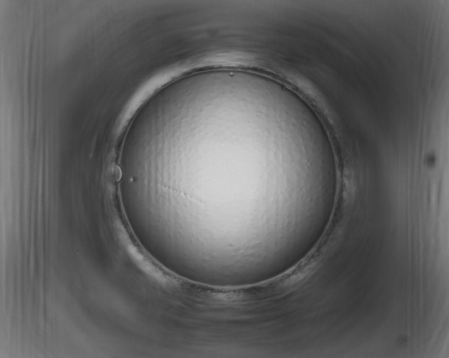 X0000116881421200912291233