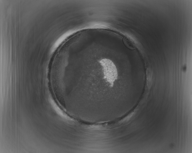 X0000116881422200912291233