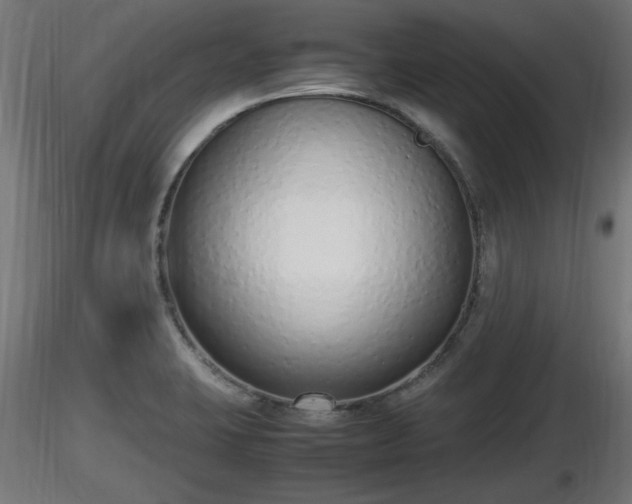 X0000116881423200912291233