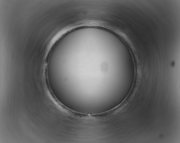 X0000116881424200912291233