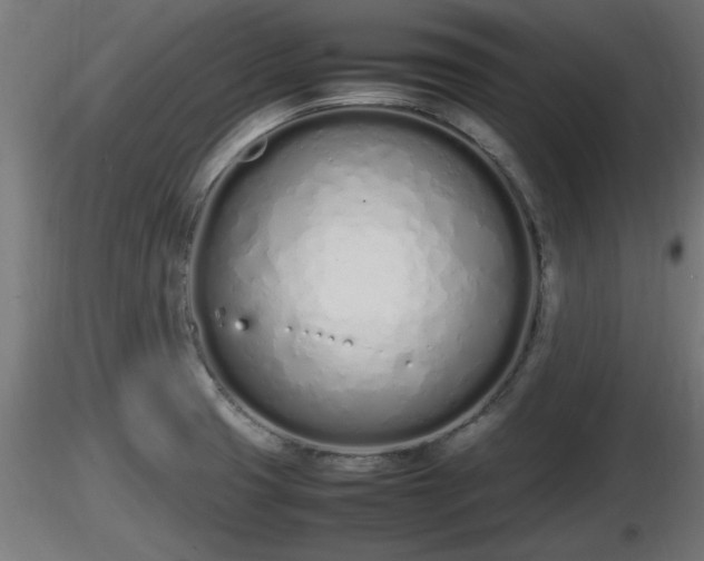 X0000116881425200912291233