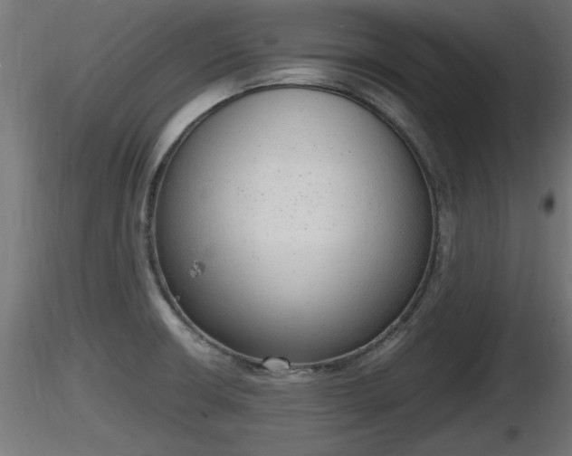 X0000116881426200912291233