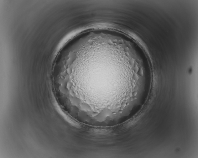 X0000116881429200912291233