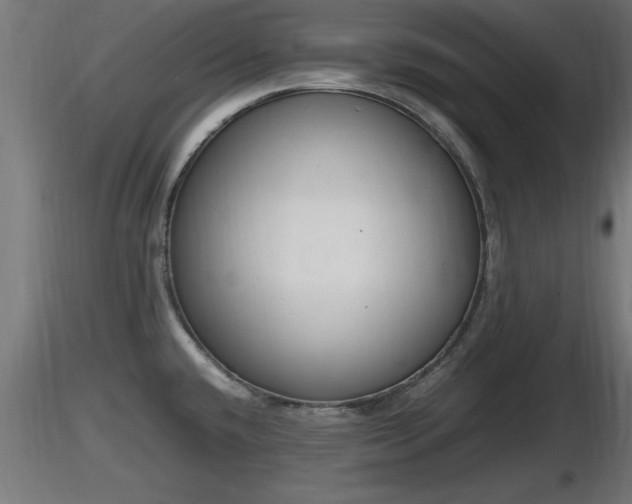 X0000116881432200912291233