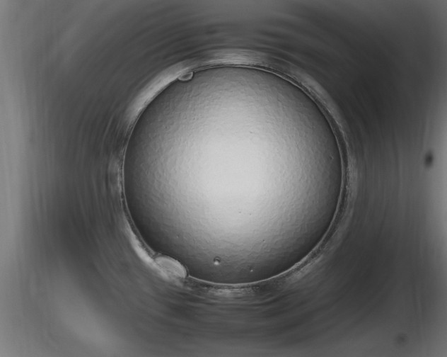 X0000116881433200912291233