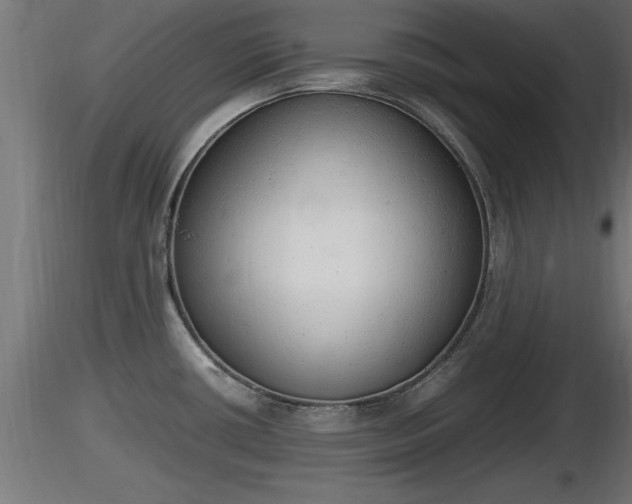 X0000116881434200912291233