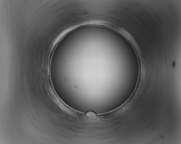 X0000116881436200912291233