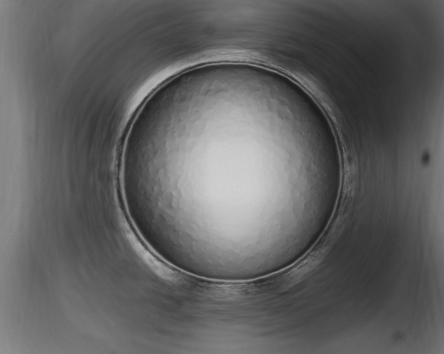 X0000116881438200912291233