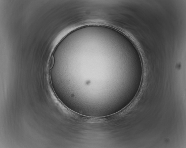 X0000116881440200912291233