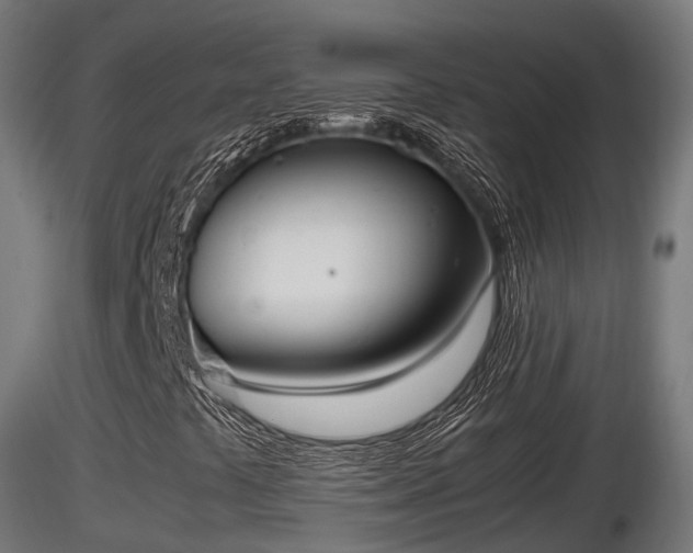 X0000116881441200912291232