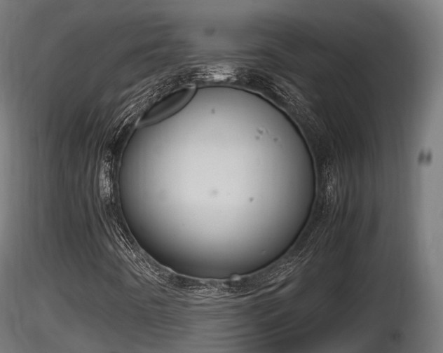 X0000116881442200912291232