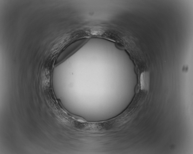 X0000116881443200912291232