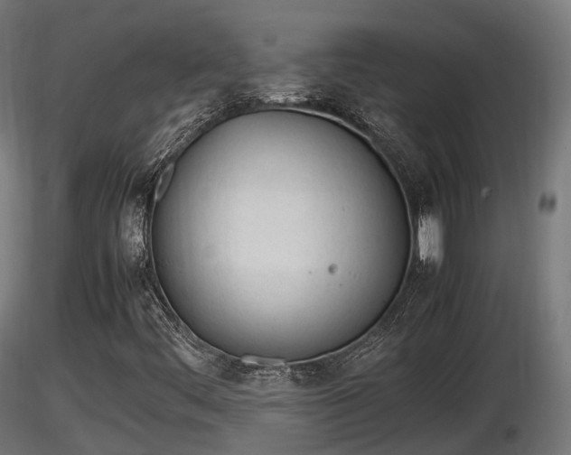X0000116881444200912291232