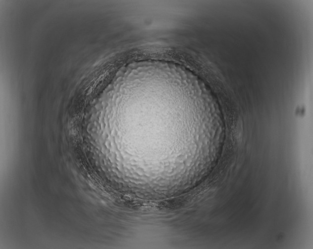 X0000116881445200912291232