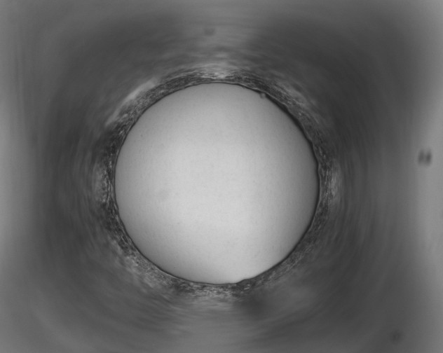 X0000116881446200912291232