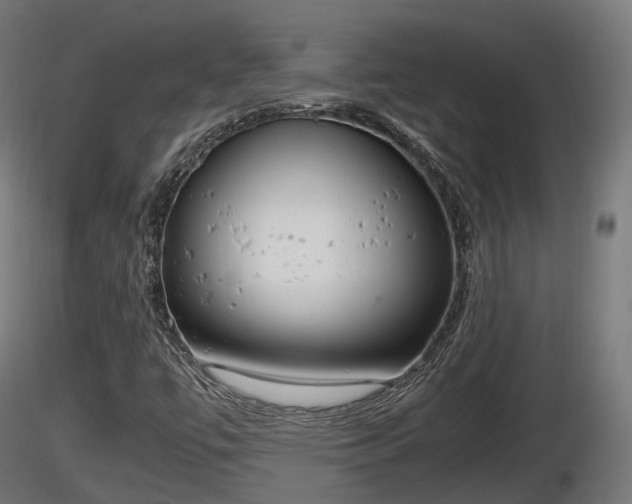 X0000116881447200912291232