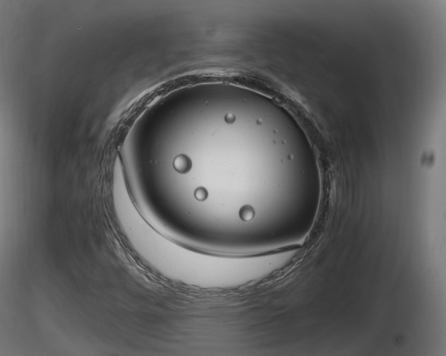 X0000116881448200912291232