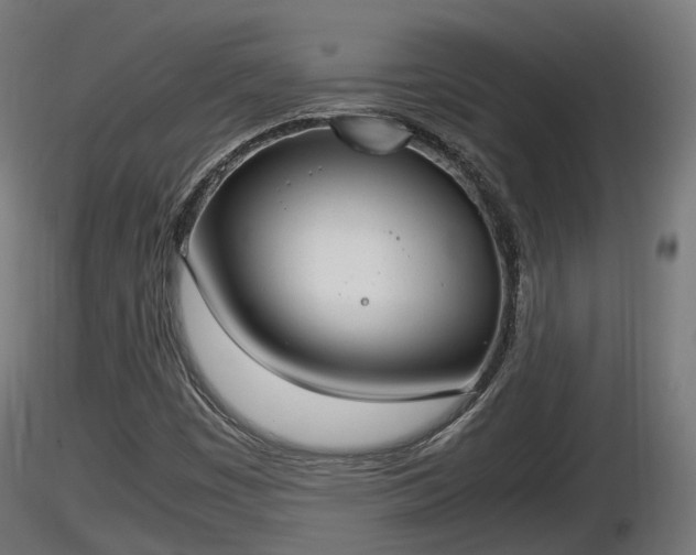 X0000116881449200912291232