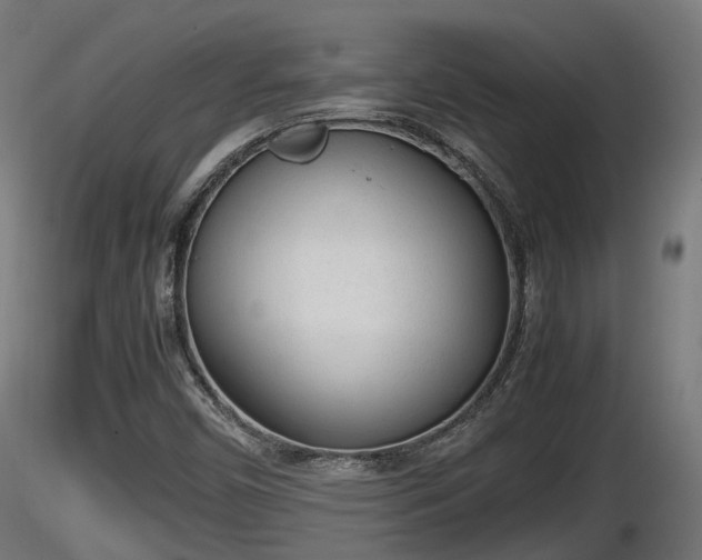 X0000116881450200912291232