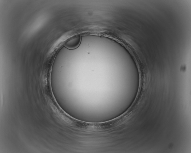 X0000116881451200912291232