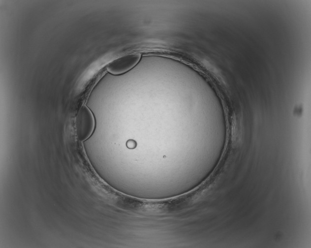 X0000116881453200912291232