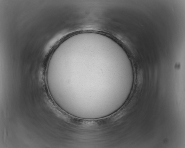 X0000116881454200912291232
