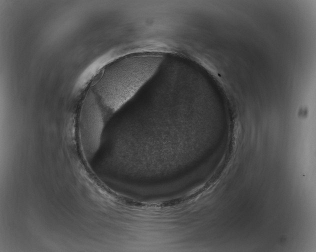 X0000116881455200912291232