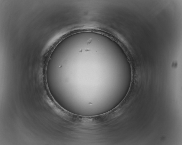 X0000116881456200912291232