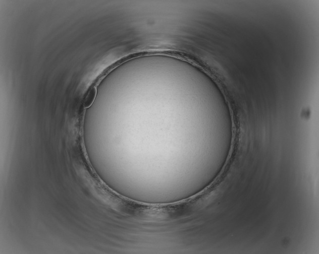 X0000116881457200912291232
