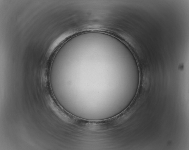 X0000116881458200912291232
