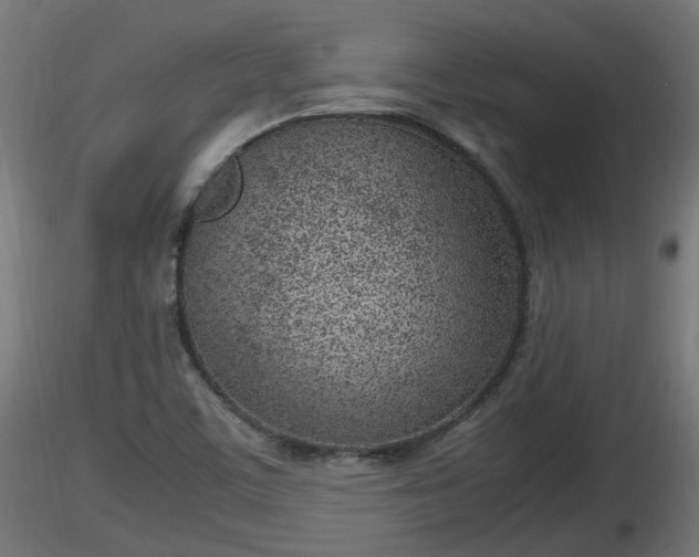 X0000116881459200912291232